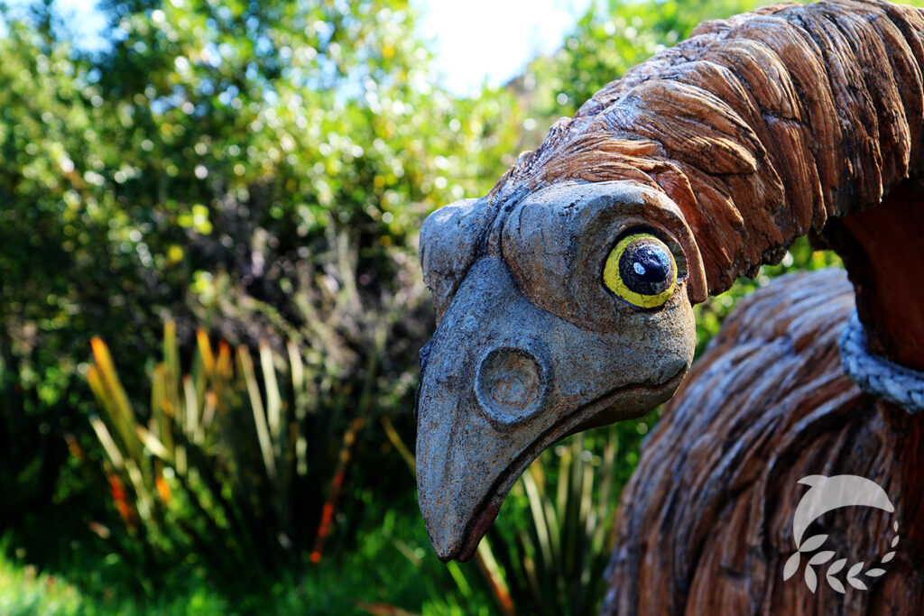 Moa